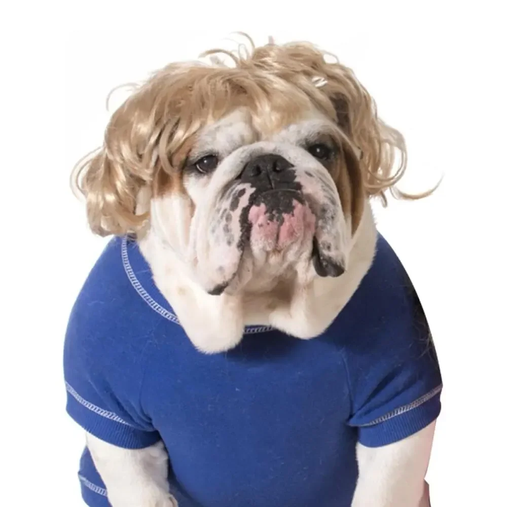 Halloween Funny Pet Wigs for Dogs Cat Wigs.Dog Birthday Dog Cosplay Dog Costume